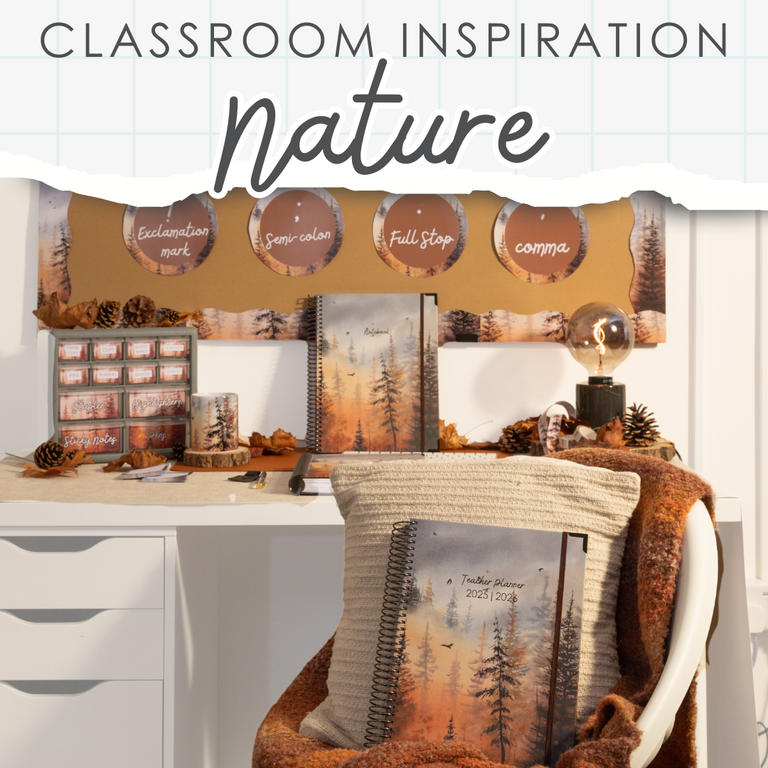 Classroom Design: How To Bring the Outside in with Natural Displays