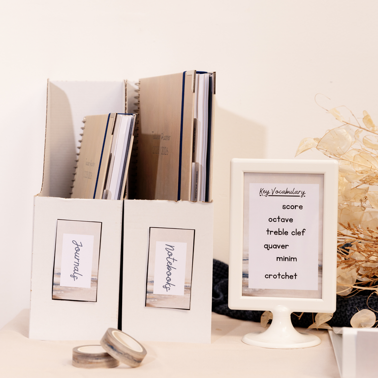 Softly Display Pack Bundle Download