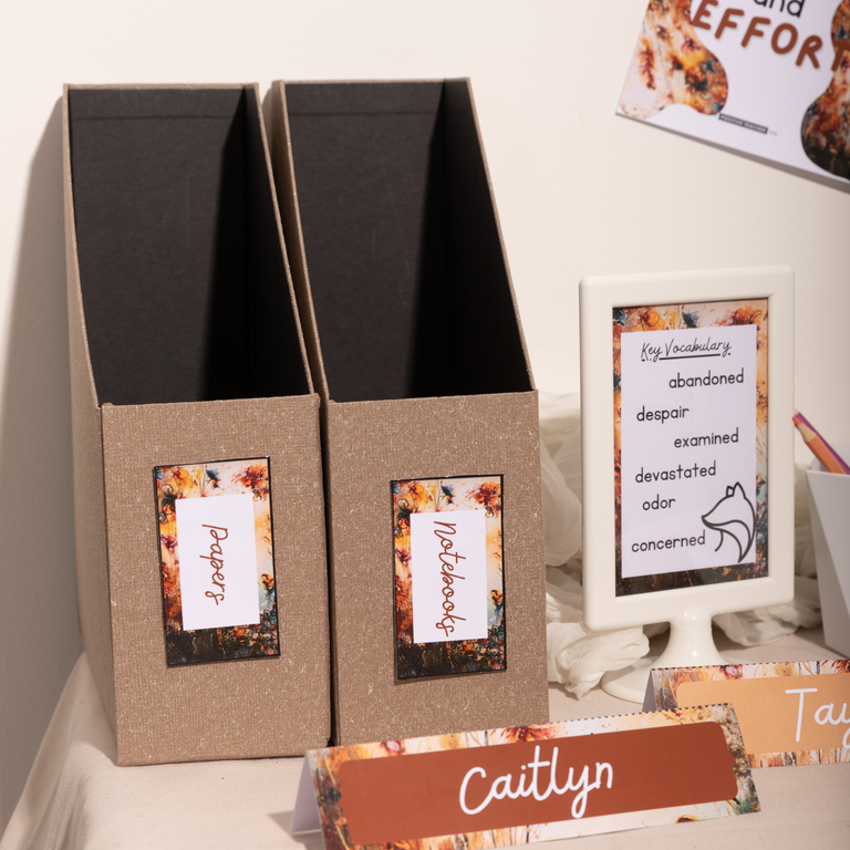 Fairy Cove Display Pack Bundle Download
