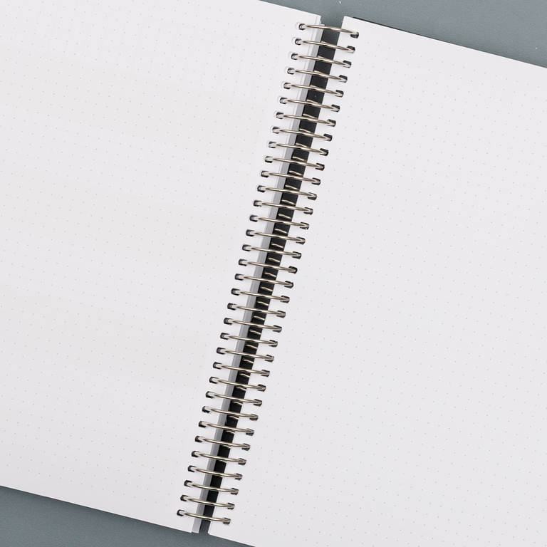 Weekly Planner 2025|2026- Moonlit Lake