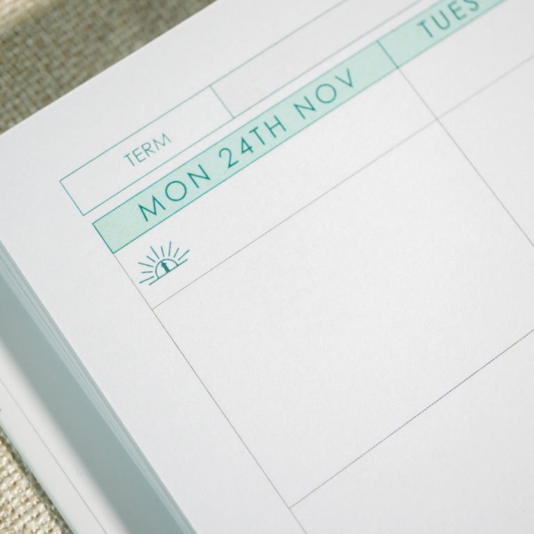 Teacher Planner 2025|2026- Golden Pine
