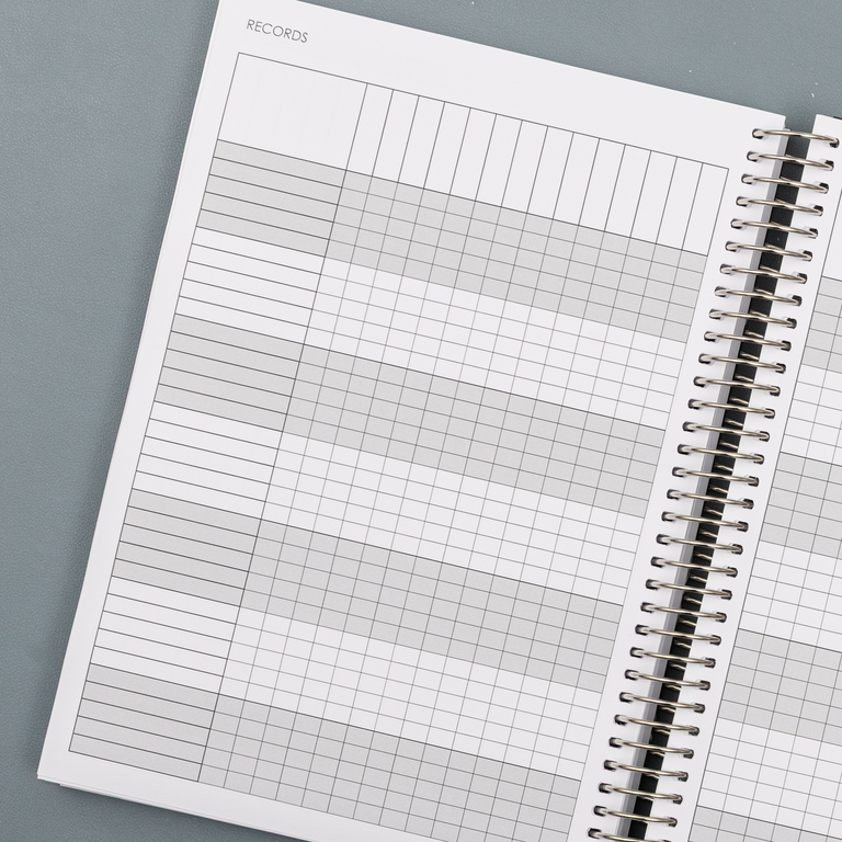 Weekly Planner 2025|2026- Moonlit Lake