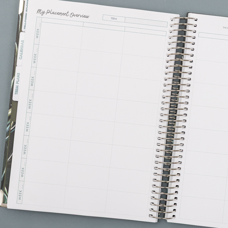 Teacher Training Planner 2025|2026- Golden Pine