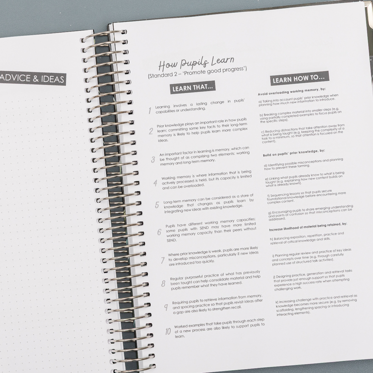 Teacher Training Planner 2025|2026- Golden Pine