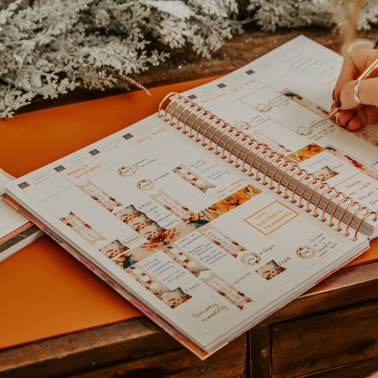 2026 Weekly B5 Planner- Fairy Cove