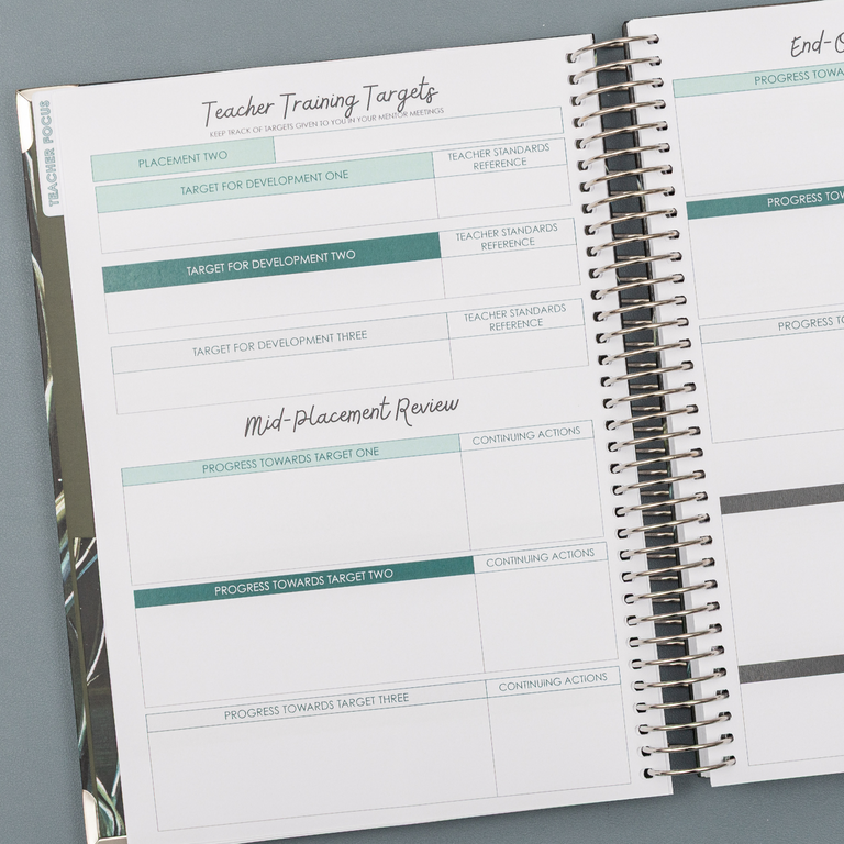 Teacher Training Planner 2025|2026- Moonlit Lake