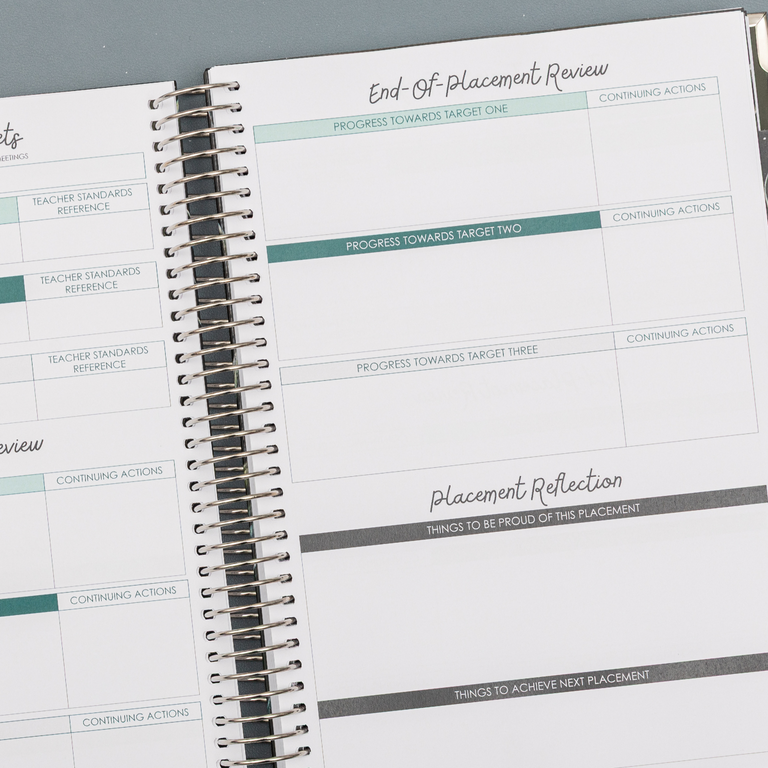 Teacher Training Planner 2025|2026- Moonlit Lake