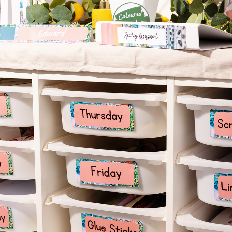 Sunny Escape Display Pack Bundle
