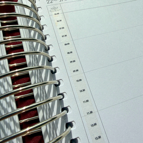 Daily Planner Time Strips