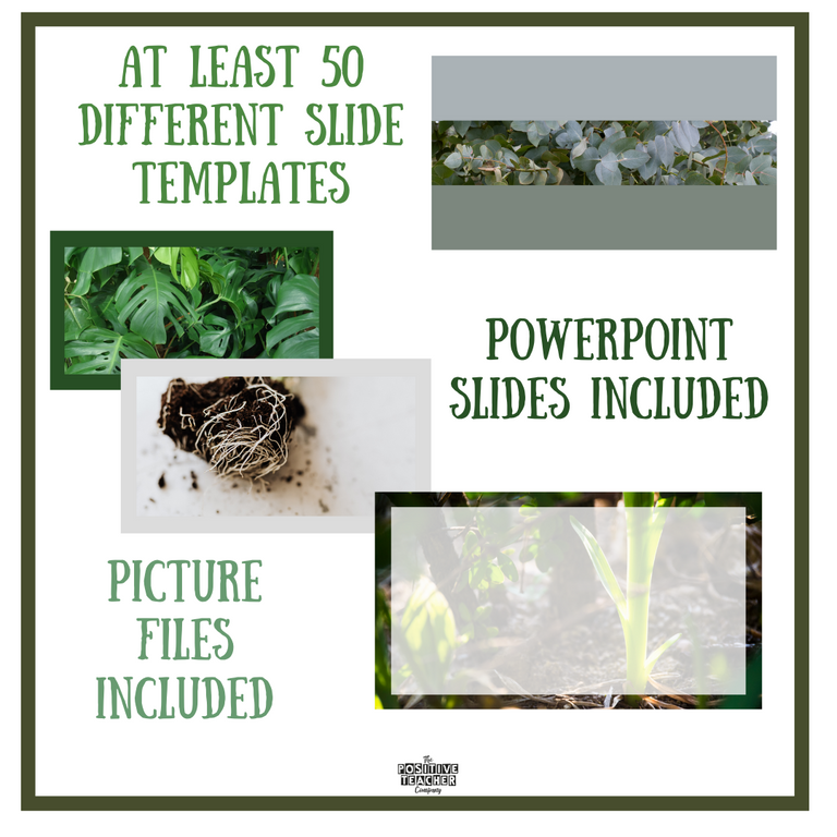 Plants Lesson Slides