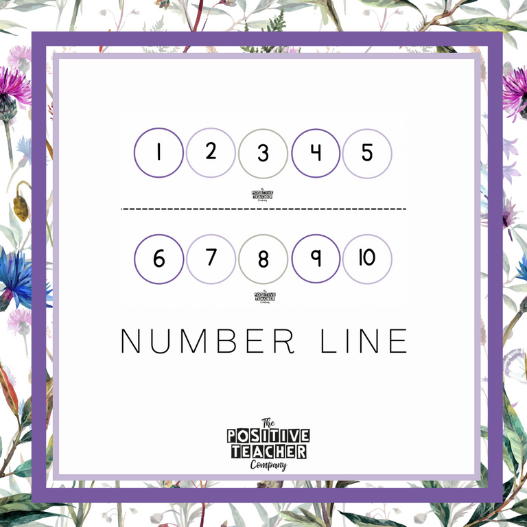 Highland Meadow Number Line